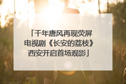 千年唐风再现荧屏 电视剧《长安的荔枝》西安开启首场观影
