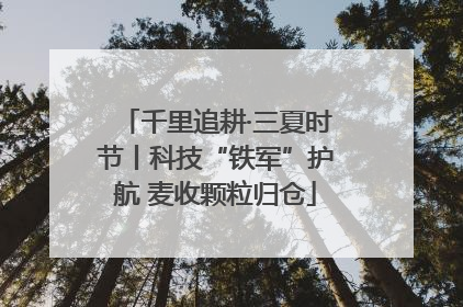 千里追耕·三夏时节丨科技“铁军”护航 麦收颗粒归仓