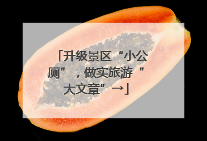 升级景区“小公厕”，做实旅游“大文章”→