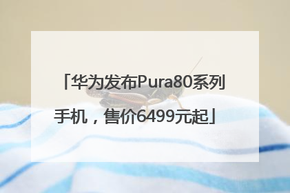 华为发布Pura80系列手机，售价6499元起