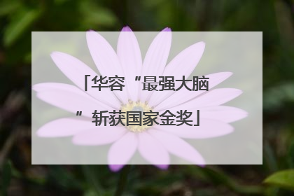 华容“最强大脑”斩获国家金奖