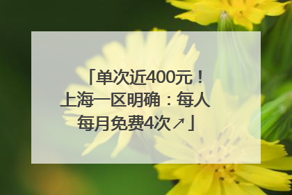 单次近400元！上海一区明确：每人每月免费4次↗