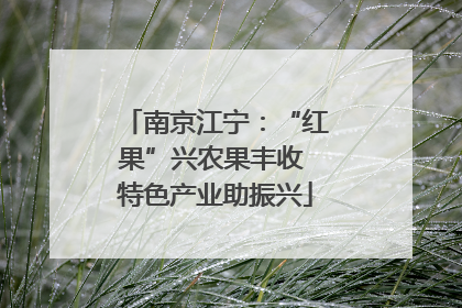 南京江宁：“红果”兴农果丰收 特色产业助振兴