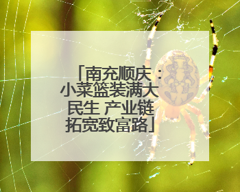 南充顺庆：小菜篮装满大民生 产业链拓宽致富路
