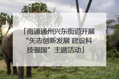 南通通州兴东街道开展“矢志创新发展 建设科技强国”主题活动