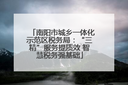 南阳市城乡一体化示范区税务局：“三精”服务提质效 智慧税务强基础