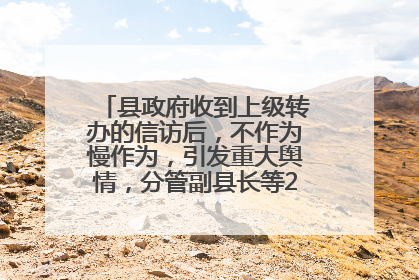 县政府收到上级转办的信访后，不作为慢作为，引发重大舆情，分管副县长等25人被处理
