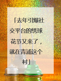 去年引爆社交平台的绣球花节又来了，就在青浦这个村