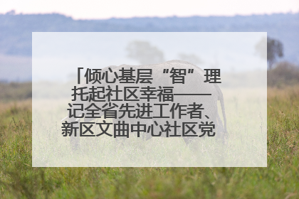 倾心基层“智”理 托起社区幸福——记全省先进工作者、新区文曲中心社区党委书记董世弘