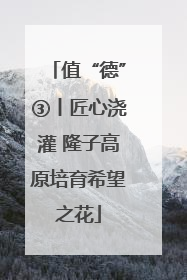值“德”③丨匠心浇灌 隆子高原培育希望之花
