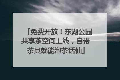 免费开放！东湖公园共享茶空间上线，自带茶具就能泡茶话仙