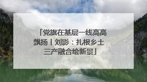 党旗在基层一线高高飘扬丨刘影：扎根乡土 三产融合绘新景