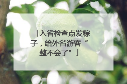 入省检查点发粽子，给外省游客“整不会了”