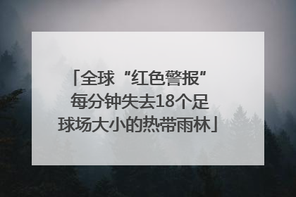 全球“红色警报”  每分钟失去18个足球场大小的热带雨林