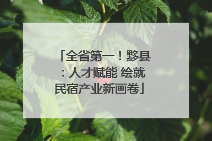 全省第一！黟县：人才赋能 绘就民宿产业新画卷