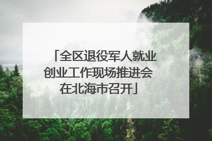 全区退役军人就业创业工作现场推进会在北海市召开