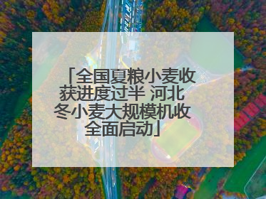 全国夏粮小麦收获进度过半 河北冬小麦大规模机收全面启动