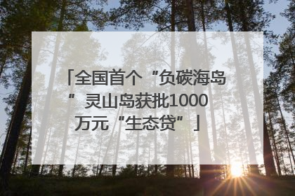 全国首个“负碳海岛”灵山岛获批1000万元“生态贷”