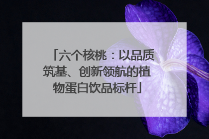 六个核桃：以品质筑基、创新领航的植物蛋白饮品标杆