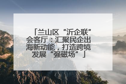 兰山区“沂企联”会客厅：汇聚民企出海新动能，打造跨境发展“强磁场”