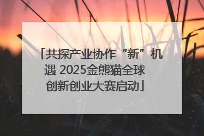 共探产业协作“新”机遇 2025金熊猫全球创新创业大赛启动