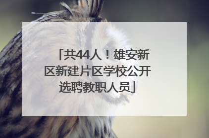 共44人！雄安新区新建片区学校公开选聘教职人员