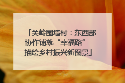 关岭围墙村：东西部协作铺就“幸福路” 描绘乡村振兴新图景
