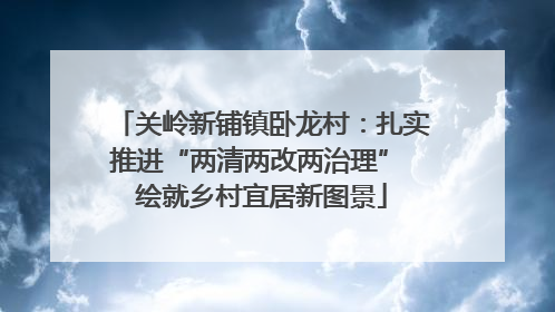 关岭新铺镇卧龙村：扎实推进“两清两改两治理” 绘就乡村宜居新图景