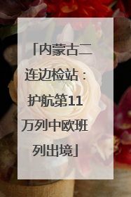内蒙古二连边检站：护航第11万列中欧班列出境