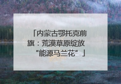 内蒙古鄂托克前旗：荒漠草原绽放“能源马兰花”