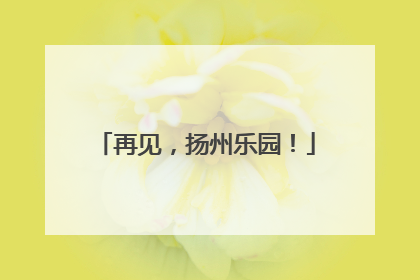 再见，扬州乐园！