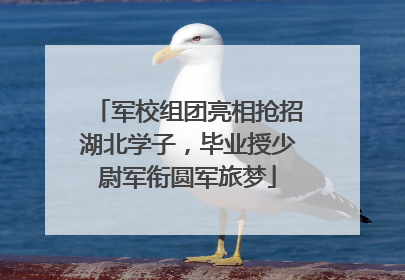 军校组团亮相抢招湖北学子，毕业授少尉军衔圆军旅梦