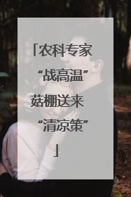 农科专家“战高温” 菇棚送来“清凉策”