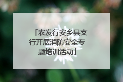 农发行安乡县支行开展消防安全专题培训活动