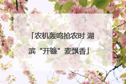 农机轰鸣抢农时 湖滨“开镰”麦飘香