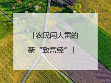 农民闫大雷的新“致富经”
