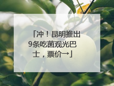 冲！昆明推出9条吃菌观光巴士，票价→