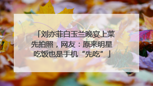 刘亦菲白玉兰晚宴上菜先拍照，网友：原来明星吃饭也是手机“先吃”