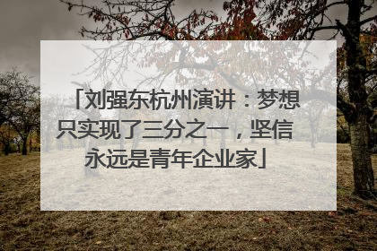 刘强东杭州演讲：梦想只实现了三分之一，坚信永远是青年企业家