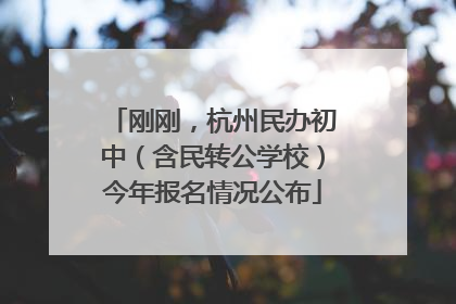 刚刚，杭州民办初中（含民转公学校）今年报名情况公布