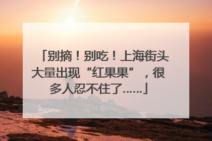 别摘！别吃！上海街头大量出现“红果果”，很多人忍不住了……