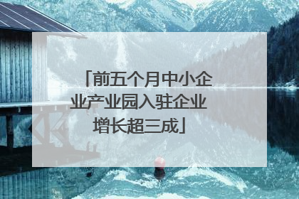 前五个月中小企业产业园入驻企业增长超三成