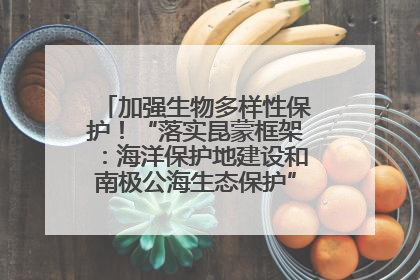 加强生物多样性保护！“落实昆蒙框架：海洋保护地建设和南极公海生态保护”主题论坛将举办