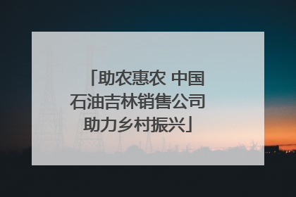 助农惠农 中国石油吉林销售公司助力乡村振兴