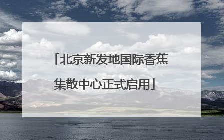 北京新发地国际香蕉集散中心正式启用