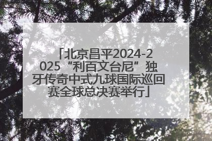 北京昌平2024-2025“利百文台尼”独牙传奇中式九球国际巡回赛全球总决赛举行