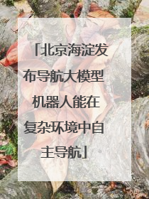 北京海淀发布导航大模型 机器人能在复杂环境中自主导航