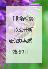 北塔检察：以公开听证促办案质效提升