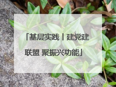 基层实践丨建党建联盟 聚振兴功能