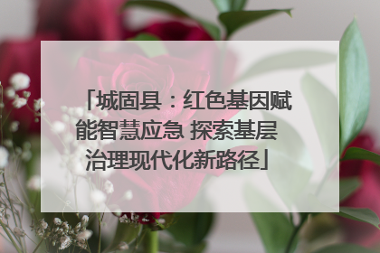 城固县：红色基因赋能智慧应急 探索基层治理现代化新路径